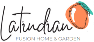 Latindian Logo